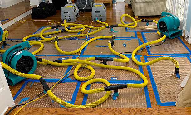Professional Storm Water Damage Restoration technician working in Woodinville, WA
